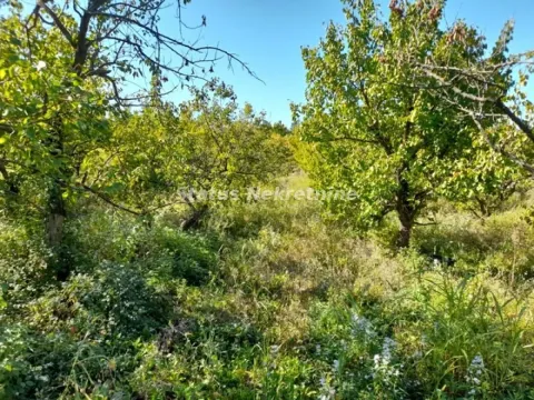 Zemljište in Ledinci