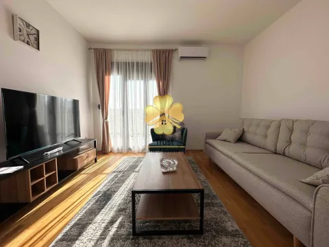 Izdavanje, dvosoban stan, 70m², Zabjelo, Podgorica - image 3