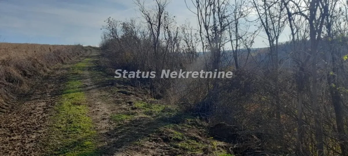 Prodaja, plac, 13011m², Beočin, Srbija
