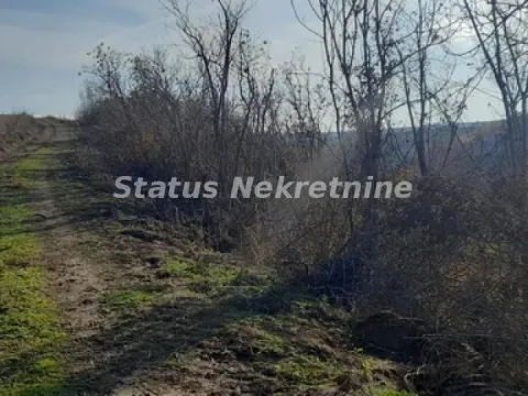 Sale, land lot, 130m², Beočin, Srbija - image 14