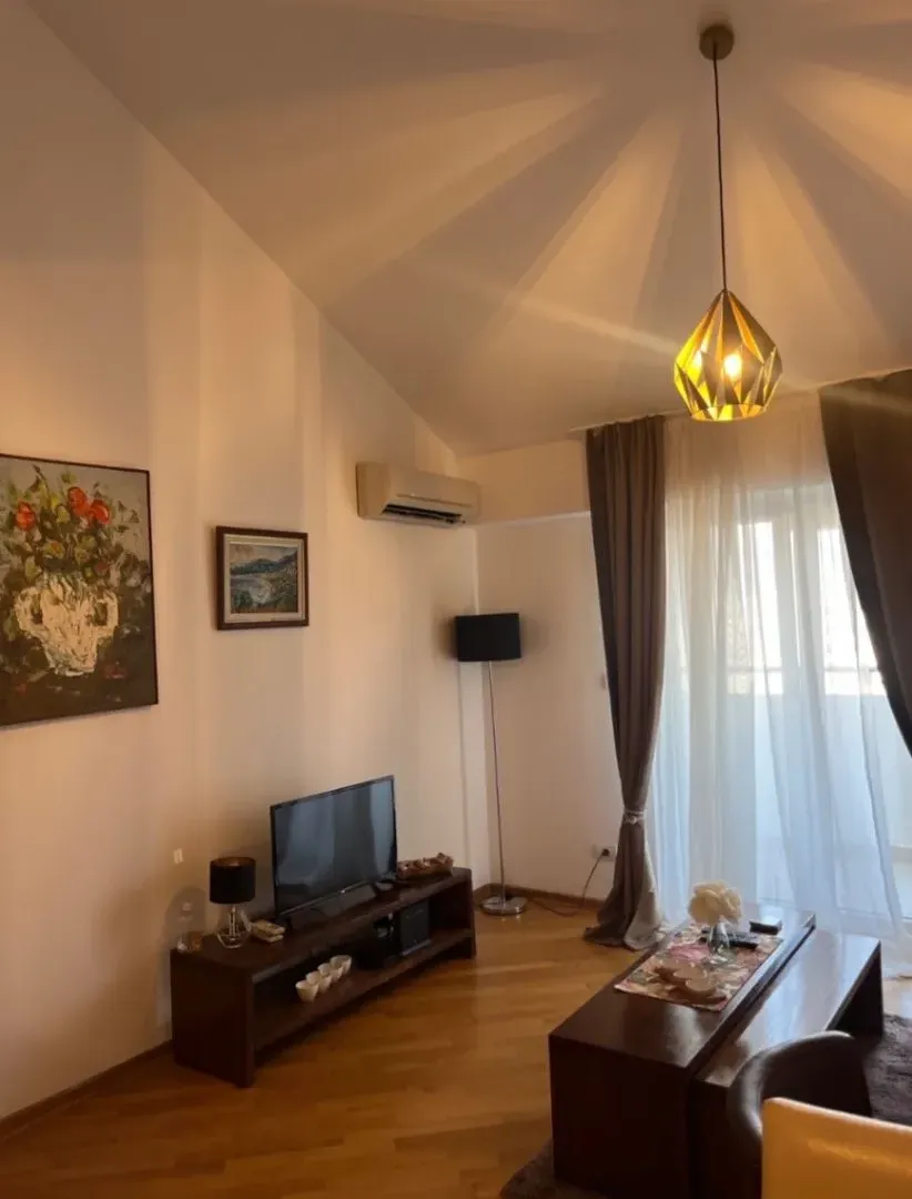 Izdavanje, jednosoban stan, 48m², Preko Morače, Podgorica