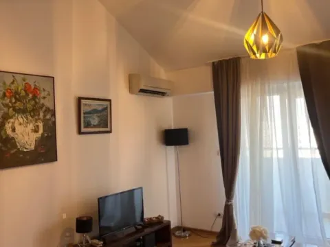 Izdavanje, jednosoban stan, 48m², Preko Morače, Podgorica