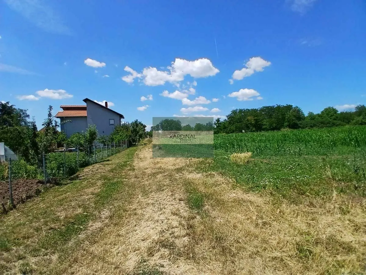 Prodaja, plac, 12747m², Vinorača, Jagodina
