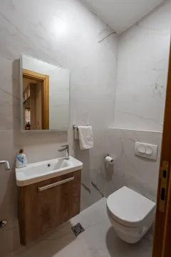 Modernly equipped bathroom with a washbasin and a wall-mounted toilet. - image 15