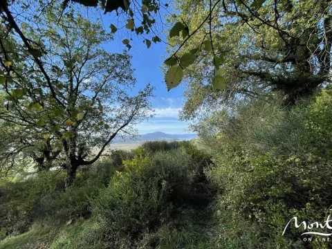 Prodaja, plac, 350m², Kavač, Kotor - image 9