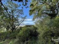 Sale, land lot, 3m², Kavač, Kotor - image 9