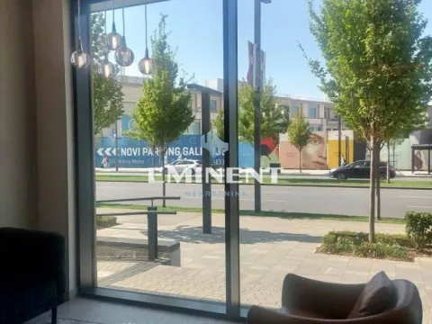 Izdavanje, dvosoban stan, 56m², Savski Venac, Beograd - image 10