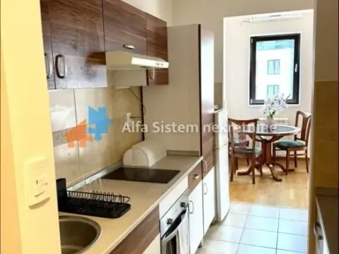 Izdavanje, dvosoban stan, 56m², Kalenić Pijaca, Vračar Sve Podlokacije - image 7