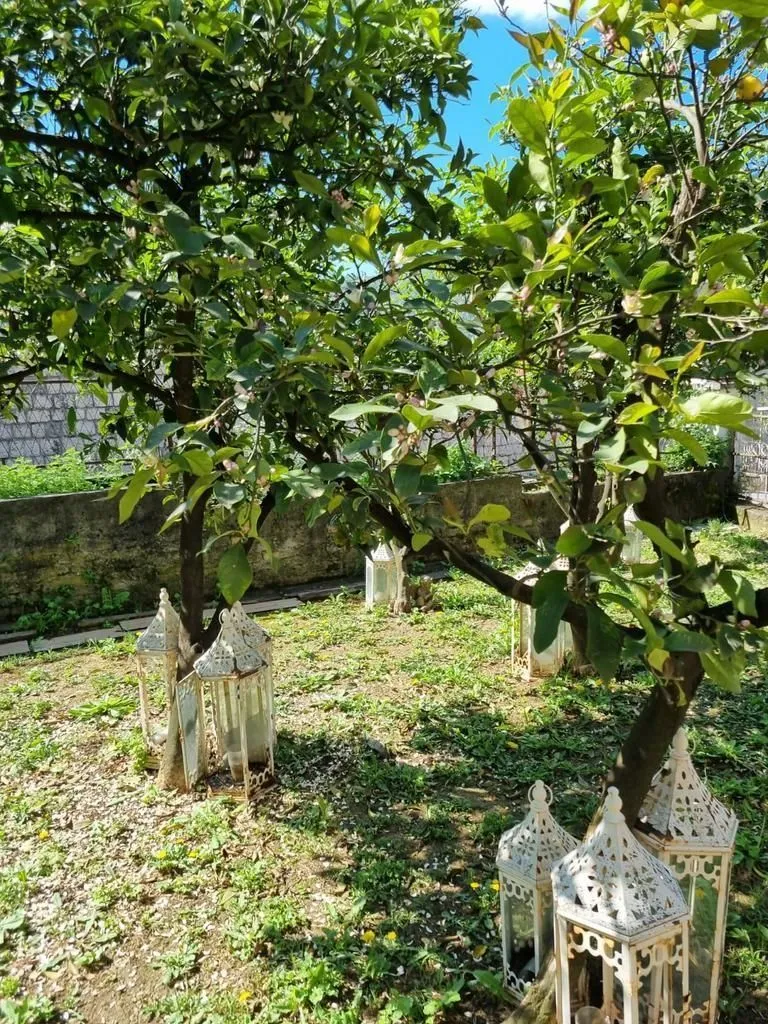 Sale, house, 160m², Dobrota, Kotor