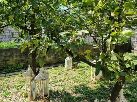 Prodaja, kuća, 160m², Dobrota, Kotor - image 24