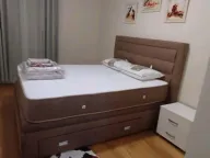 Izdavanje, jednosoban stan, 45m², Central Point, Podgorica - image 4