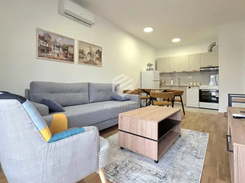 Izdavanje, jednosoban stan, 40m², Tološi, Podgorica - image 3