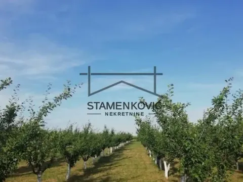 Prodaja, plac, 4636m², Sremska Mitrovica, Srbija - image 9