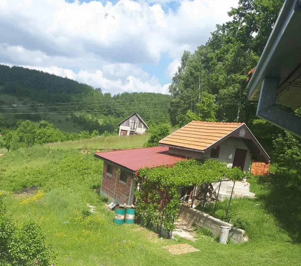View of the yard and house surrounded by nature.