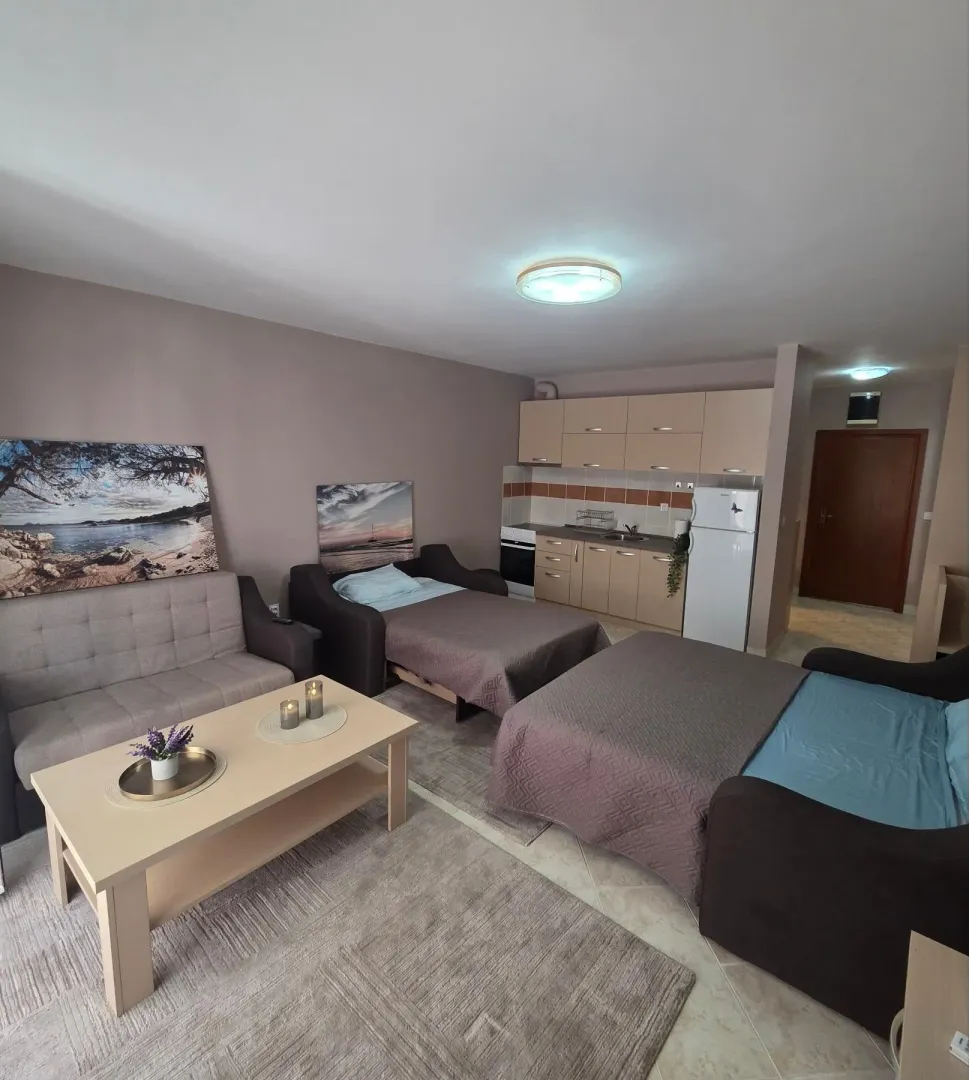 Living room with a sofa bed, coffee table, and an integrated kitchen.