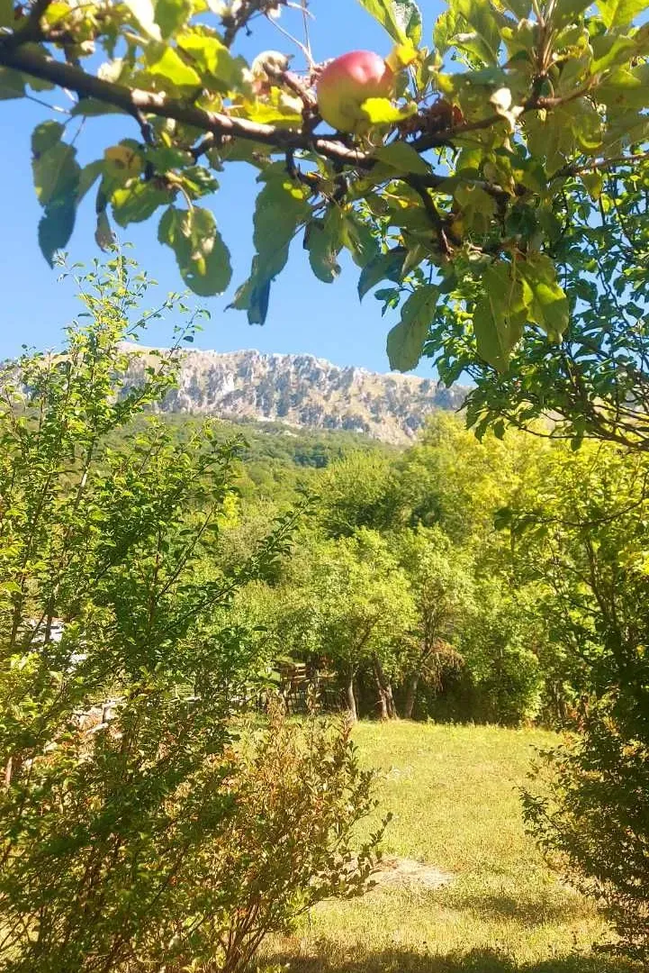 Prodaja, plac, 9000m², Kolašin, Crna Gora