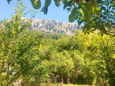 Prodaja, plac, 9000m², Kolašin, Crna Gora - image 3