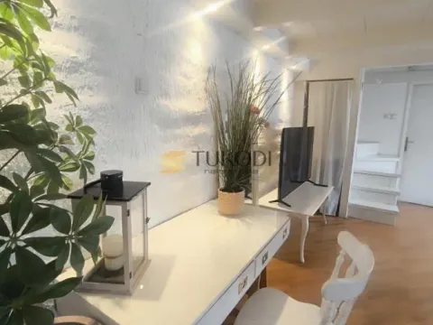 Izdavanje, jednosoban stan, 45m², Botanička Bašta, Palilula Sve Podlokacije - image 6