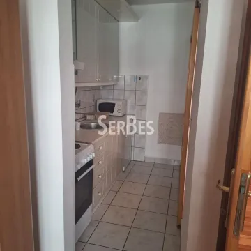 Izdavanje, jednosoban stan, 30m², Bulevar Oslobodjenja, Novi Sad Sve Podlokacije - image 6