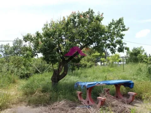 Prodaja, plac, 30173m², Nemenikuće, Sopot - image 4