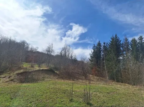 Pogled na prirodno okruženje sa travnatom površinom i šumom. - image 3