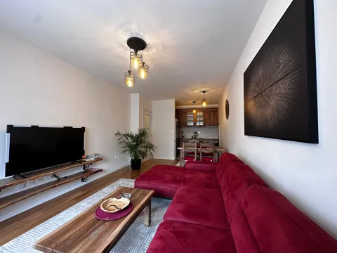 Izdavanje, jednosoban stan, 50m², Central Point, Podgorica - image 2