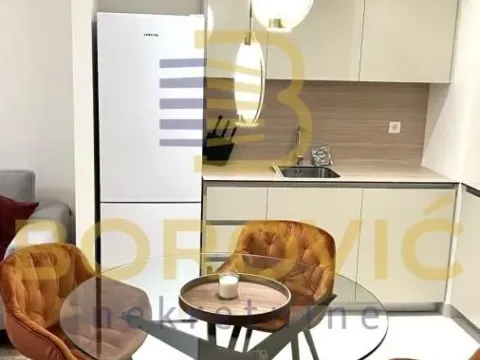 Izdavanje, dvosoban stan, 56m², Savski Venac, Beograd - image 5