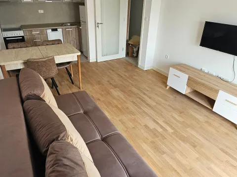 Rent, one bedroom apartment, 41m², Zabjelo, Podgorica - image 1