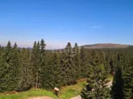 Prodaja, dvosoban stan, 53m2, Treska, Kopaonik