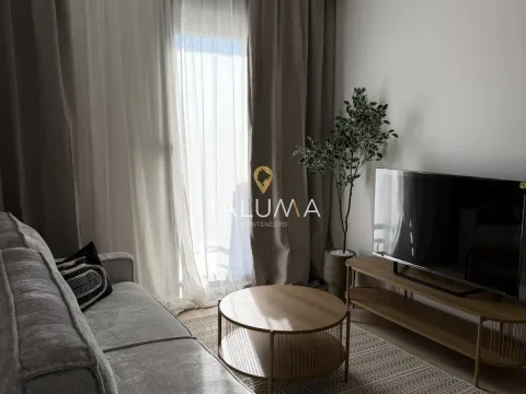 Rent, one bedroom apartment, 37m², Tološi, Podgorica - image 2