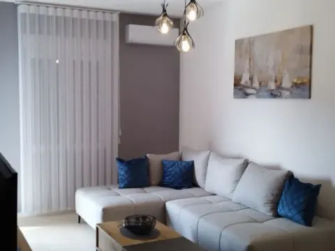 Izdavanje, jednosoban stan, 45m², Zabjelo, Podgorica - image 6