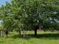 Sale, house, 2401m², Rogami, Podgorica - image 7