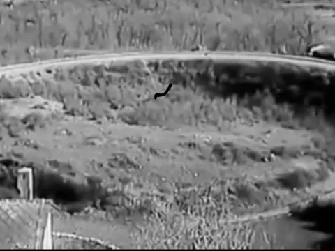 Prodaja, plac, 2495m², Bar, Crna Gora - image 4