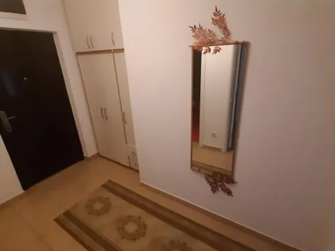 Izdavanje, dvosoban stan, 48m², Nova Detelinara, Novi Sad Sve Podlokacije - image 5