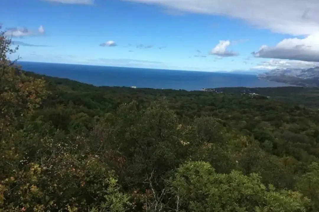 Prodaja, plac, 5600m², Bar, Crna Gora