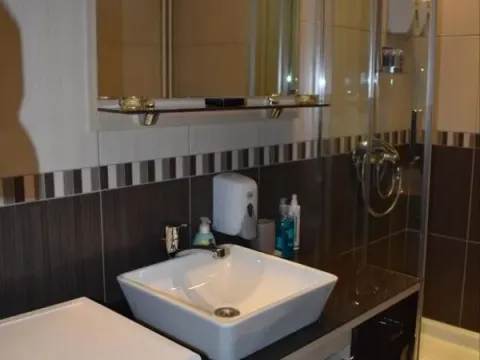 Izdavanje, kuća, 250m², Petrovaradin, Novi Sad - image 13