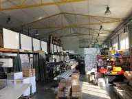 Izdavanje, poslovni prostor, 1000m², Zemun Sve Podlokacije, Beograd - image 4