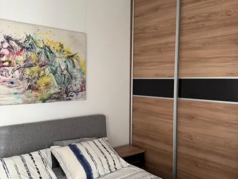 Rent, two bedroom apartment, 40m², Južni Bulevar, Vračar Sve Podlokacije - image 5