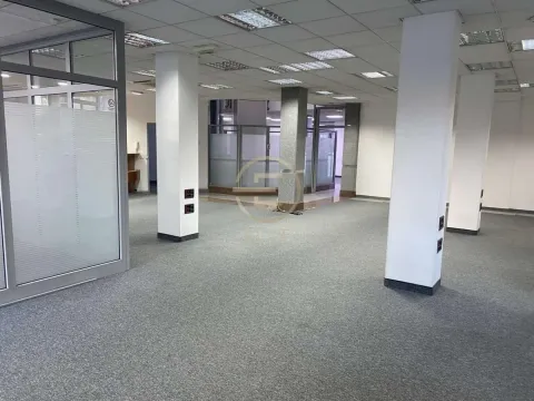 Izdavanje, poslovni prostor, 353m², Bulevar Oslobodjenja, Novi Sad Sve Podlokacije - image 4