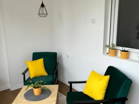 Izdavanje, dvosoban stan, 50m², Socijalno, Novi Sad Sve Podlokacije - image 17