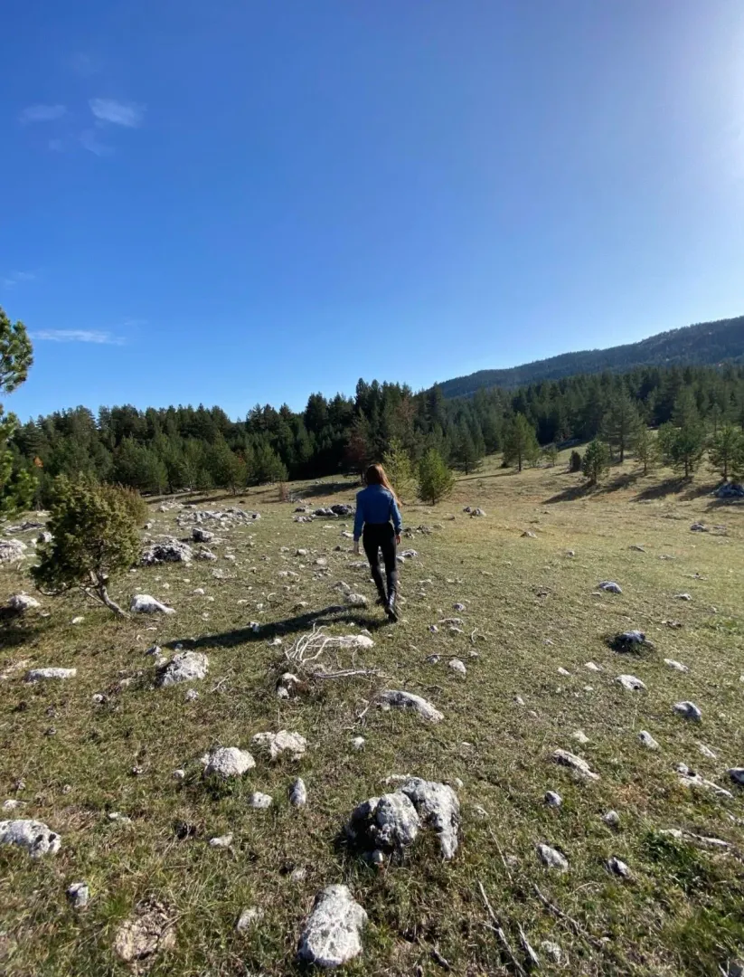 Prodaja, plac, 48088m², Borje, Žabljak