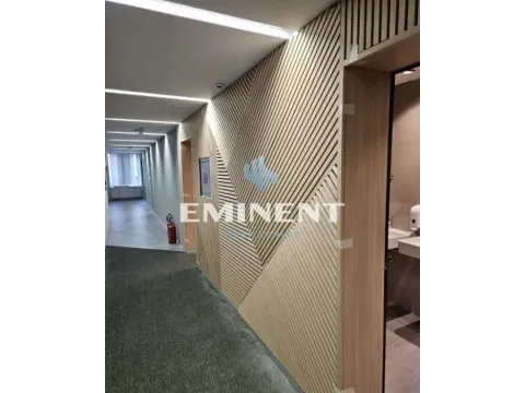 Izdavanje, poslovni prostor, 299m², Stari Grad, Beograd - image 9