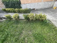 Izdavanje, trosoban stan, 53m², Zvezdara, Zvezdara Sve Podlokacije - image 4