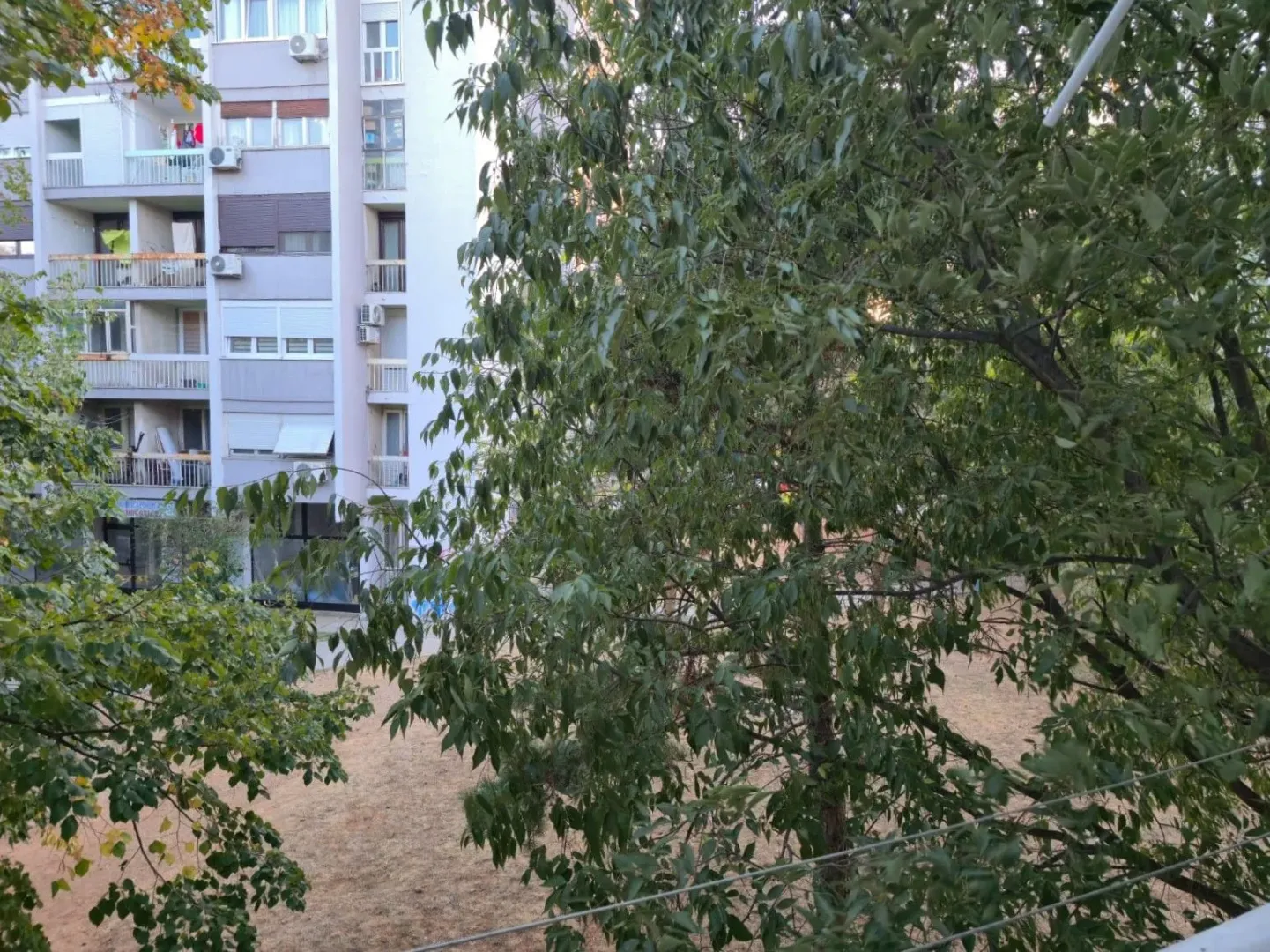 View from the terrace towards the building and trees.