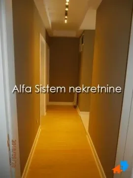 Rent, four bedroom apartment, 180m², Vračar Hram, Vračar Sve Podlokacije - image 15