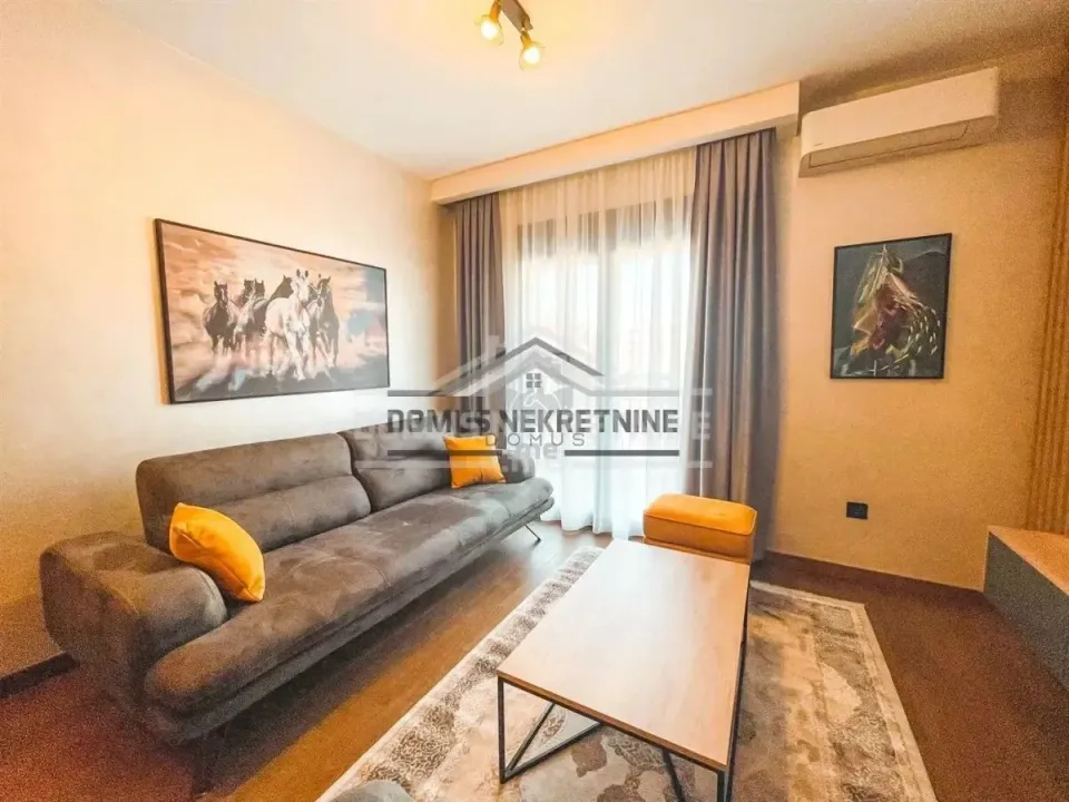 Rent, one bedroom apartment, 48m², Ljubović, Podgorica