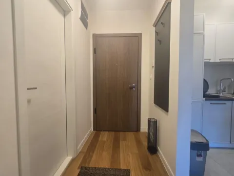 Izdavanje, jednosoban stan, 40m², Central Point, Podgorica - image 13