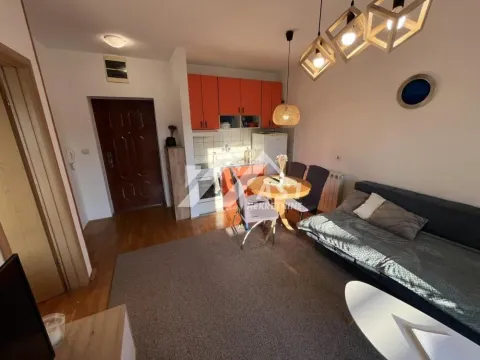 Izdavanje, jednosoban stan, 34m², Nova Detelinara, Novi Sad Sve Podlokacije - image 3