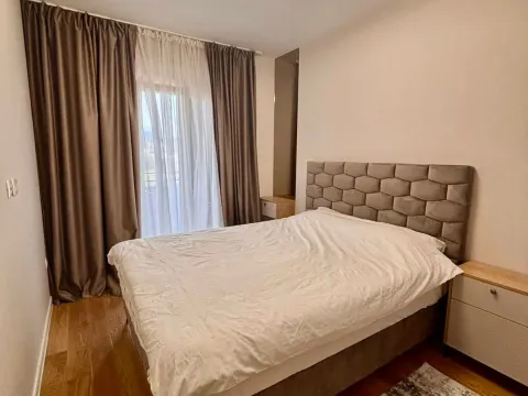 Izdavanje, jednosoban stan, 50m², Central Point, Podgorica - image 13