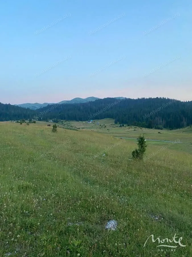 Prodaja, plac, 15531m², Krš, Žabljak